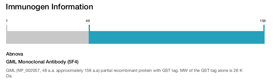 GML Monoclonal Antibody (5F4)