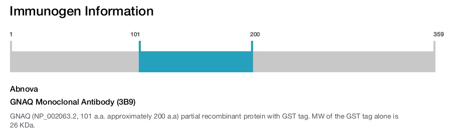 GNAQ Monoclonal Antibody (3B9)