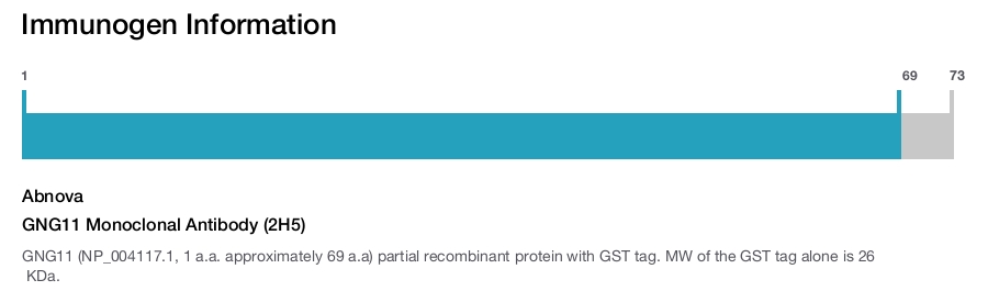 GNG11 Monoclonal Antibody (2H5)