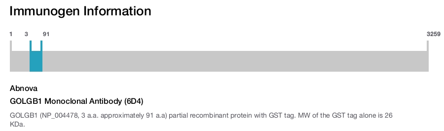 GOLGB1 Monoclonal Antibody (6D4)