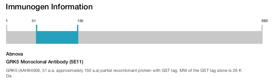 GRK5 Monoclonal Antibody (5E11)