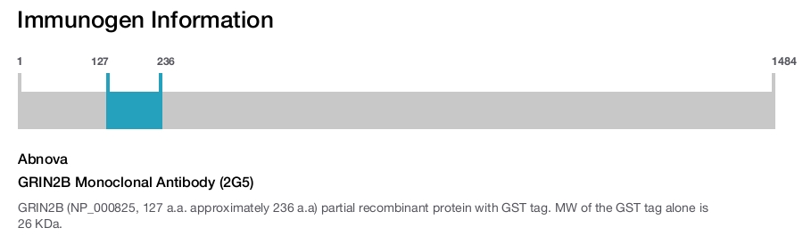 GRIN2B Monoclonal Antibody (2G5)