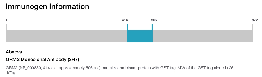 GRM2 Monoclonal Antibody (3H7)