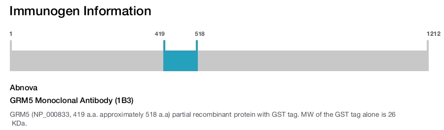 GRM5 Monoclonal Antibody (1B3)