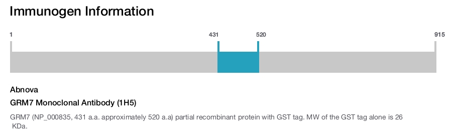 GRM7 Monoclonal Antibody (1H5)