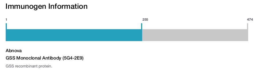 GSS Monoclonal Antibody (5G4-2E9)