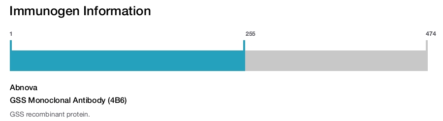 GSS Monoclonal Antibody (4B6)