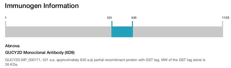 GUCY2D Monoclonal Antibody (6D9)
