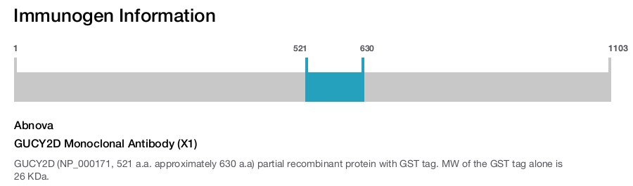 GUCY2D Monoclonal Antibody (X1)