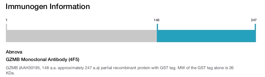 GZMB Monoclonal Antibody (4F5)
