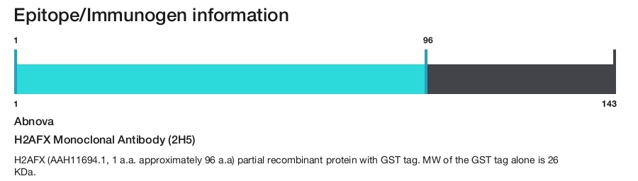 H2AFX Monoclonal Antibody (2H5)