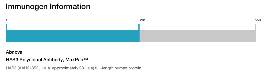 HAS3 Polyclonal Antibody, MaxPab™