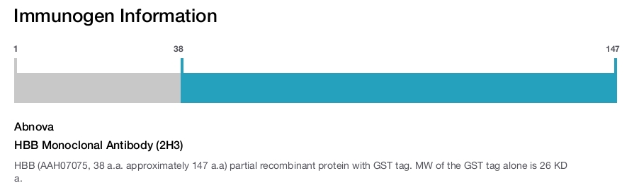 HBB Monoclonal Antibody (2H3)