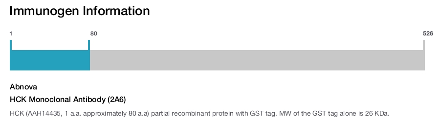 HCK Monoclonal Antibody (2A6)