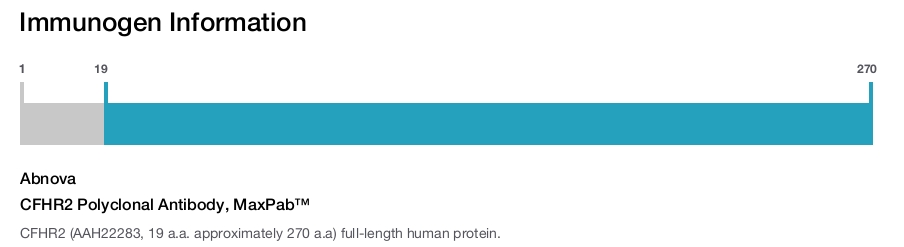 CFHR2 Polyclonal Antibody, MaxPab™