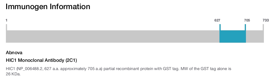 HIC1 Monoclonal Antibody (2C1)