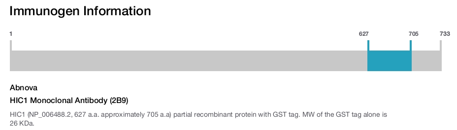 HIC1 Monoclonal Antibody (2B9)