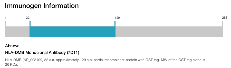 HLA-DMB Monoclonal Antibody (7D11)