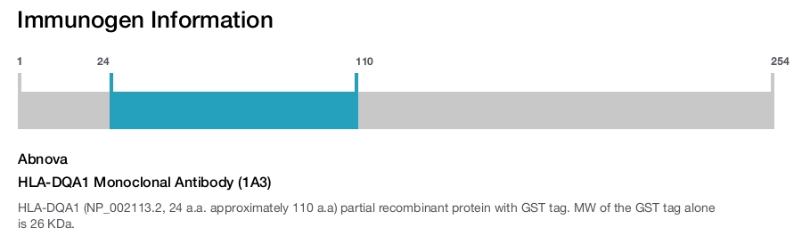 HLA-DQA1 Monoclonal Antibody (1A3)