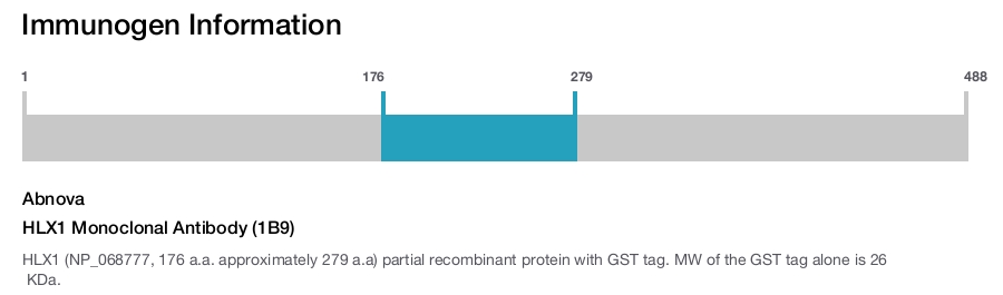 HLX1 Monoclonal Antibody (1B9)