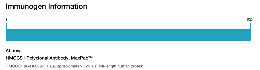 HMGCS1 Polyclonal Antibody, MaxPab™