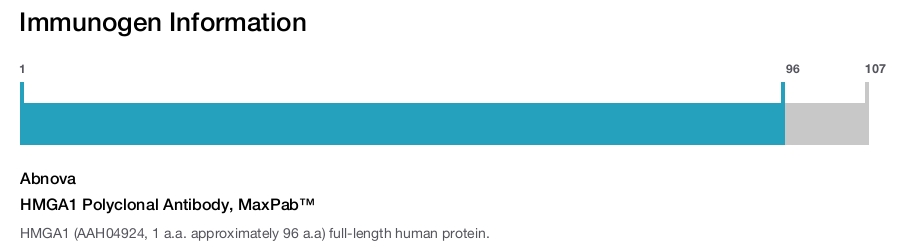 HMGA1 Polyclonal Antibody, MaxPab™