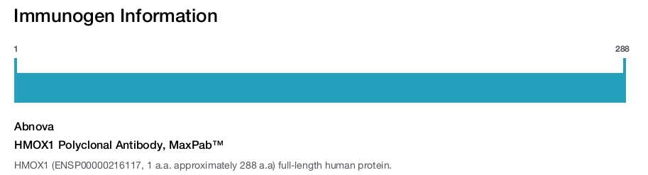 HMOX1 Polyclonal Antibody, MaxPab&trade;