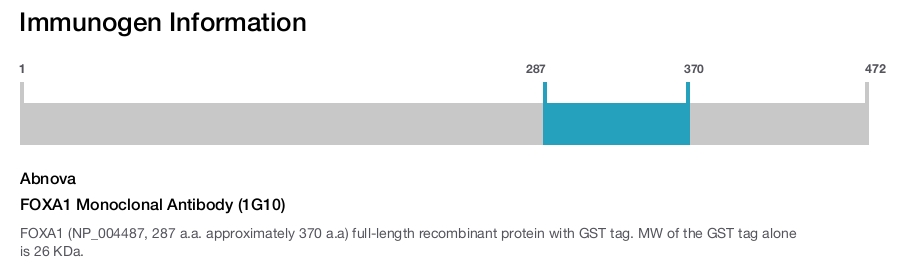 FOXA1 Monoclonal Antibody (1G10)