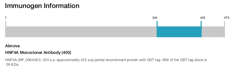 HNF4A Monoclonal Antibody (400)