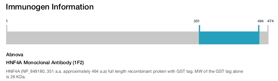 HNF4A Monoclonal Antibody (1F2)