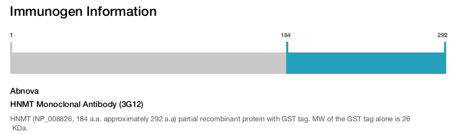 HNMT Monoclonal Antibody (3G12)