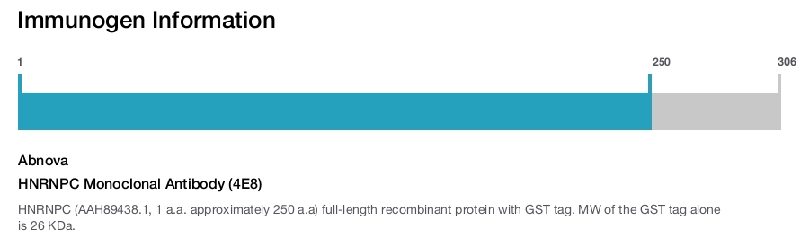 HNRNPC Monoclonal Antibody (4E8)
