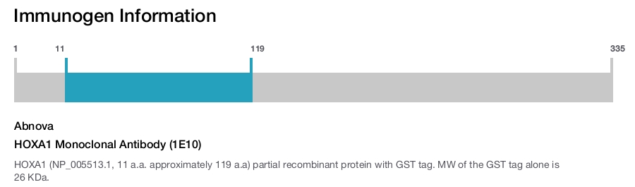 HOXA1 Monoclonal Antibody (1E10)