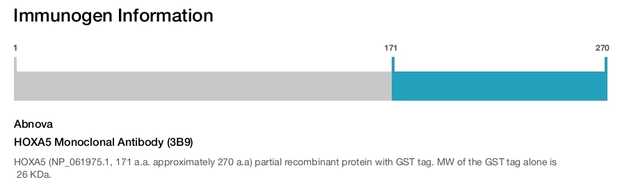 HOXA5 Monoclonal Antibody (3B9)