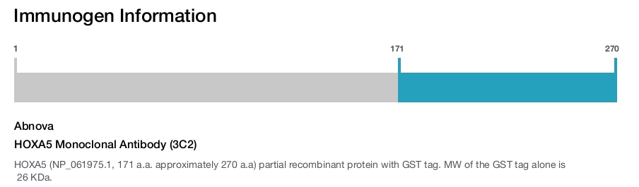 HOXA5 Monoclonal Antibody (3C2)