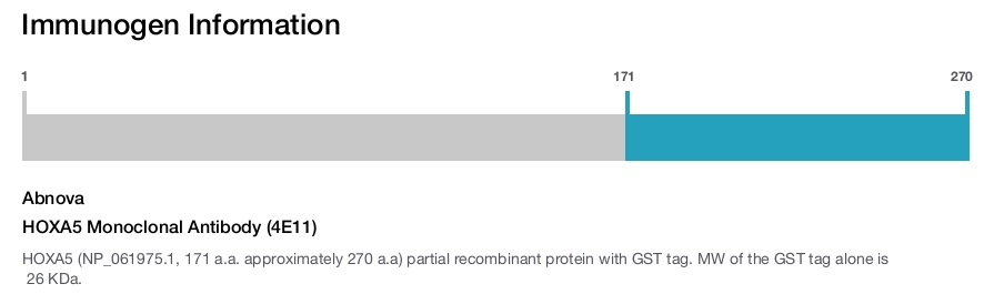 HOXA5 Monoclonal Antibody (4E11)