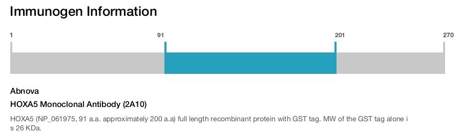 HOXA5 Monoclonal Antibody (2A10)