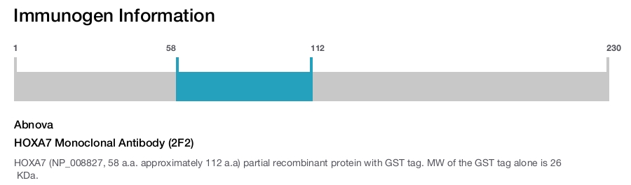 HOXA7 Monoclonal Antibody (2F2)