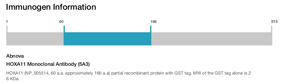 HOXA11 Monoclonal Antibody (5A3)