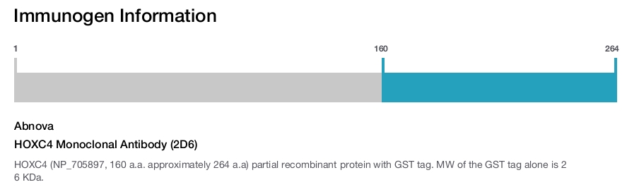 HOXC4 Monoclonal Antibody (2D6)