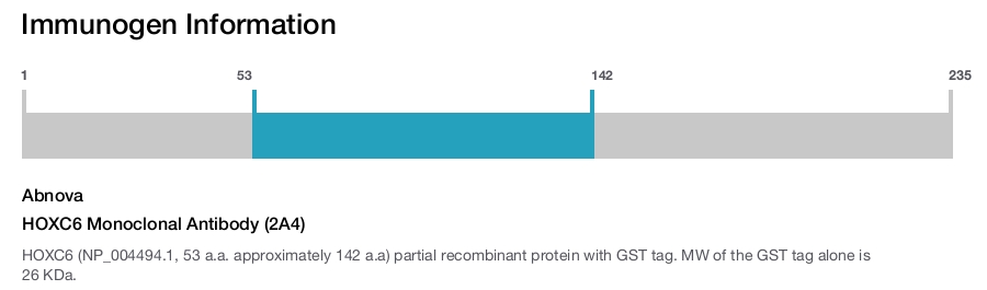 HOXC6 Monoclonal Antibody (2A4)