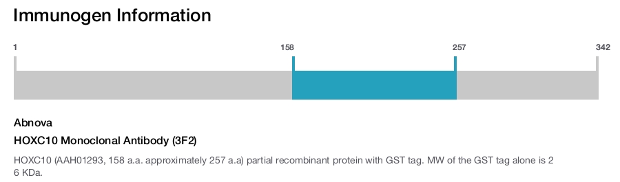HOXC10 Monoclonal Antibody (3F2)