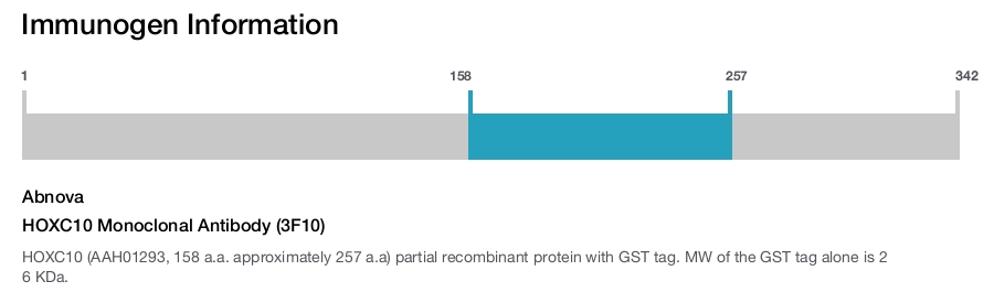 HOXC10 Monoclonal Antibody (3F10)