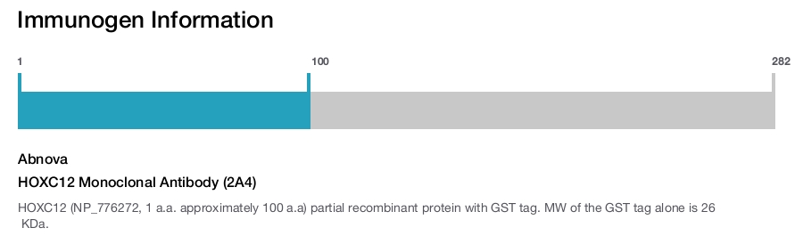 HOXC12 Monoclonal Antibody (2A4)