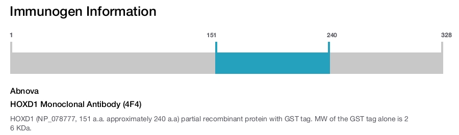 HOXD1 Monoclonal Antibody (4F4)