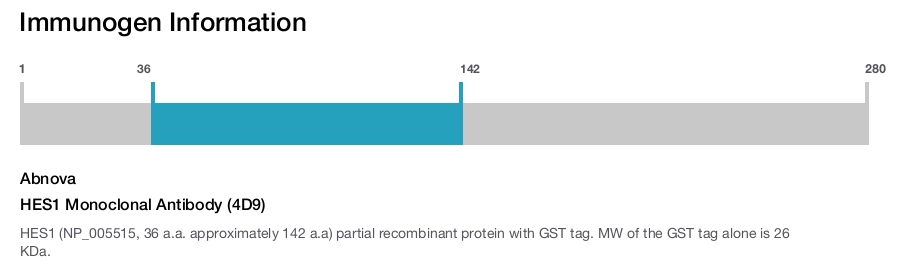 HES1 Monoclonal Antibody (4D9)