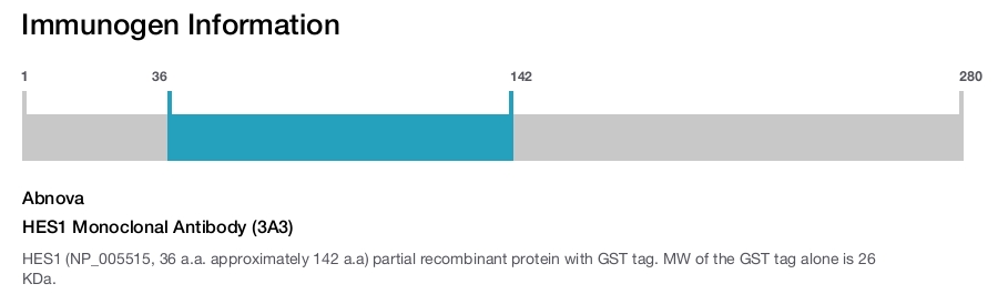 HES1 Monoclonal Antibody (3A3)