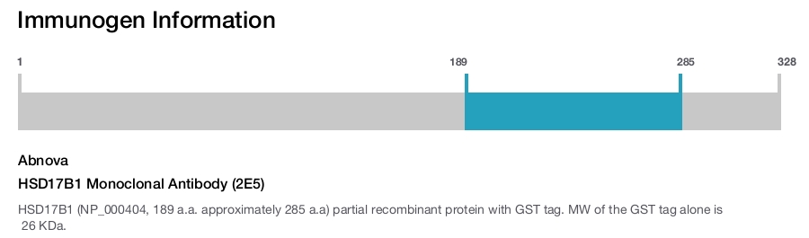 HSD17B1 Monoclonal Antibody (2E5)