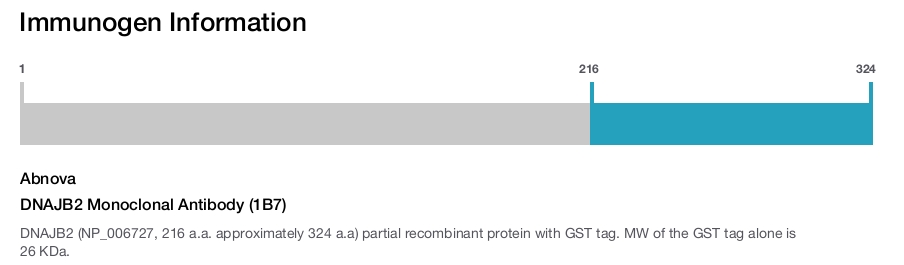 DNAJB2 Monoclonal Antibody (1B7)