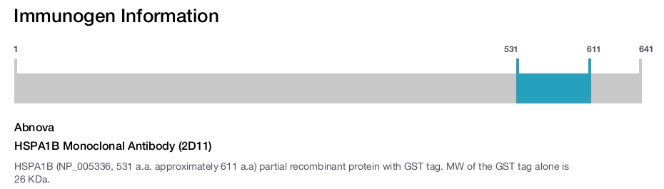 HSPA1B Monoclonal Antibody (2D11)